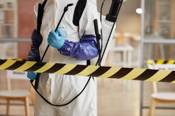 Professional Sewage Cleanup technician working in New Hampton, NH
